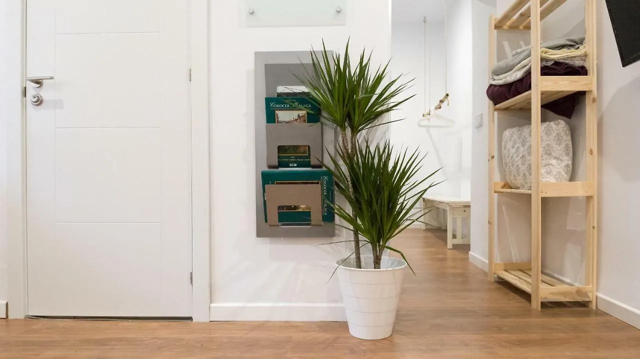 公寓 马拉加Apartamento Alameda De Colon公寓